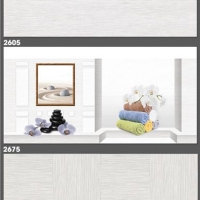 Gạch ốp tường Tasa 30x60 3105-2605-2675