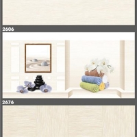 Gạch ốp tường Tasa 30x60 3106-2606-2676