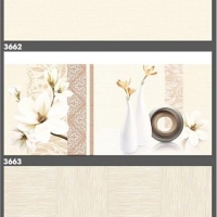 Gạch ốp tường Tasa 30x60 3662-3663