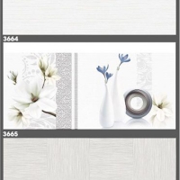 Gạch ốp tường Tasa 30x60 3664-3665
