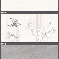 Gạch ốp tường Tasa 30x60 3971-3972-3973