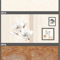 Gạch ốp tường Tasa 30x60 3974-3975-3976