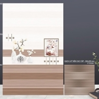 Gạch ốp tường TTC 30x60 VB36059-VB36060