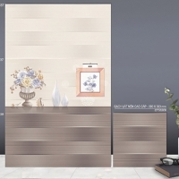 Gạch ốp tường TTC 30x60 WB36037-WB36038