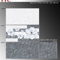 Gạch ốp tường TTC 30x60 WB36063-WB36064
