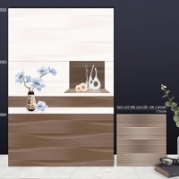 Gạch ốp tường TTC 30x60 WB36083-WB36084