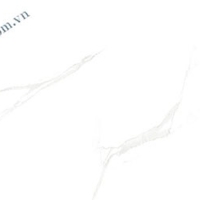 Gạch ốp tường Ý Mỹ 30x60 G36025