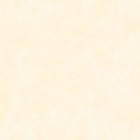 Gạch Perfetto-Hoàn Mỹ 60x60 PE-6005