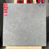 Gạch Prime 60x60 đá mờ NYG6604