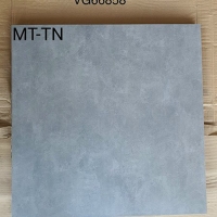 Gạch Royal - Hoàng Gia 60x60 mờ VG66858