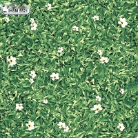 Gạch sân vườn giá rẻ 50x50 IHSM5521