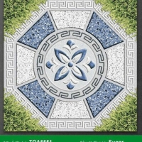 Gạch sân vườn giá rẻ 50x50 TQA5551