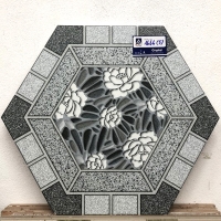 Gạch sân vườn lục giác 1666