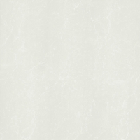 Gạch lát nền Taicera 80x80 P87762N