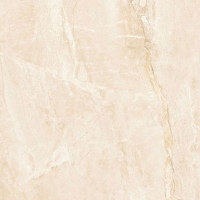 Gạch Takao 60x120 32101