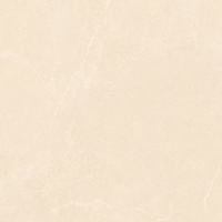 Gạch Takao 60x120 mờ 52111