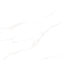 Gạch ốp tường Tasa 40x80 4803