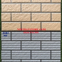 Gạch trang trí 25x40 G211-203HH
