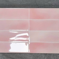 Gạch trang trí 3D 30x60 men siêu bóng hồng nhạt
