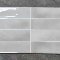 Gạch trang trí 3D 30x60 men siêu bóng xám