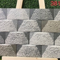 Gạch trang trí 3D Ấn Độ 30x60 3819G