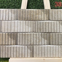 Gạch trang trí 3D Ấn Độ 30x60 3822B
