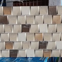 Gạch trang trí 3D Ấn Độ 30x60 đẹp