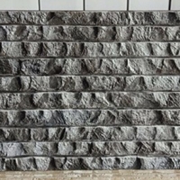Gạch trang trí 3D Ấn Độ 30x60 Vân xi măng