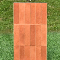 Gạch trang trí decor 40x80 mờ MF48Y04C