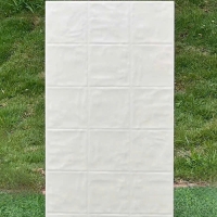 Gạch trang trí decor 40x80 mờ NF48Y03F