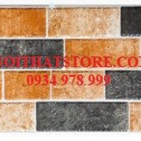 Gạch trang trí giá rẻ 15x50 15501E