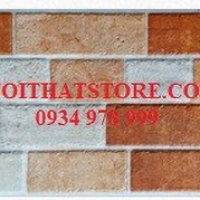 Gạch trang trí giá rẻ 15x50 15503E