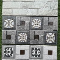 Gạch trang trí giá rẻ 25x50 25016-25028-25029