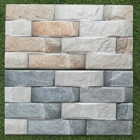 Gạch trang trí giá rẻ 25x50 HPDM 25012-25015
