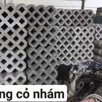 Gạch trồng cỏ 8 lỗ nhám