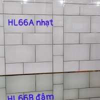 Gạch Trung Quốc 30x60 men kính HL66