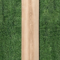 Gạch vân gỗ Viglacera 20x100 GC21001