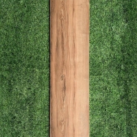Gạch vân gỗ Viglacera 20x100 GC21002