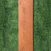 Gạch vân gỗ Viglacera 20x100 GC21004