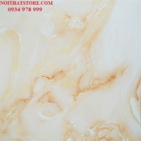 Gạch vi tinh ngọc thạch 100x100 HCT10105