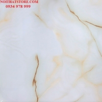Gạch vi tinh ngọc thạch 100x100 HCT10106