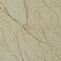 Gạch vi tinh ngọc thạch 80x80 8601J