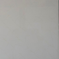Gạch vi tinh ngọc thạch 90x90 KPVL19001