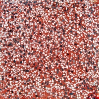 Gạch vỉa hè Terrazzo 40x40 trơn màu đỏ