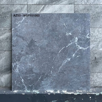Gạch Viglacera 100x100 AZ53-9GP101003