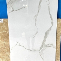 Gạch Viglacera 60x120 CLGP61212