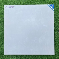 Gạch Viglacera 60x60 mờ CLSM605
