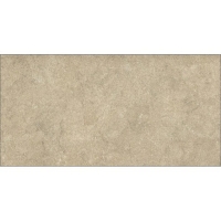 Gạch Vitto 30x60 D226
