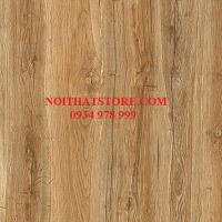 Gạch Vitto 60x120 3645 matt