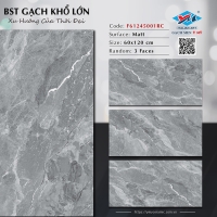 Gạch Ý Mỹ 60x120 F61245001RC mờ